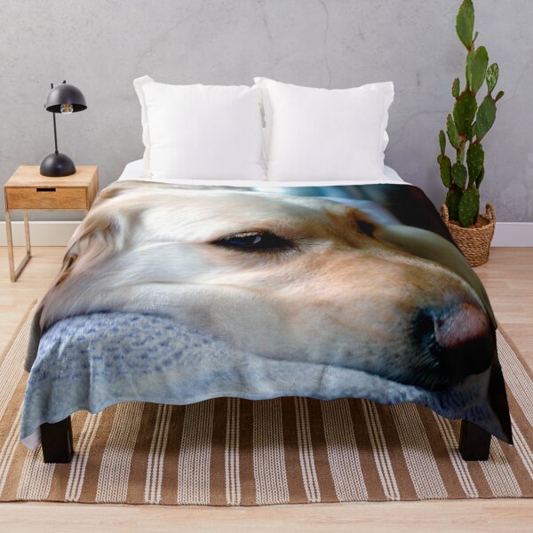 Item preview, Golden Retriever Dog Portrait designed and sold by AndyEvansPhotos.