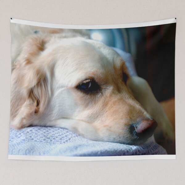 Item preview, Golden Retriever Dog Portrait designed and sold by AndyEvansPhotos.