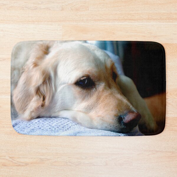 Item preview, Golden Retriever Dog Portrait designed and sold by AndyEvansPhotos.