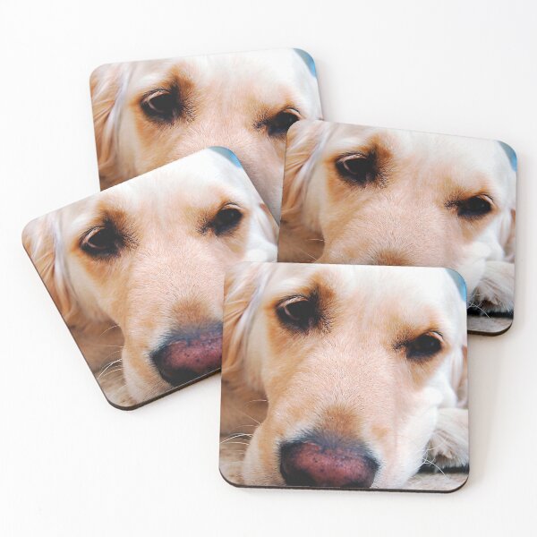 Item preview, Golden Retriever Dog Portrait designed and sold by AndyEvansPhotos.