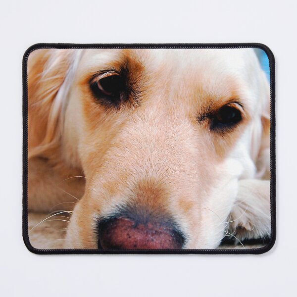 Item preview, Golden Retriever Dog Portrait designed and sold by AndyEvansPhotos.