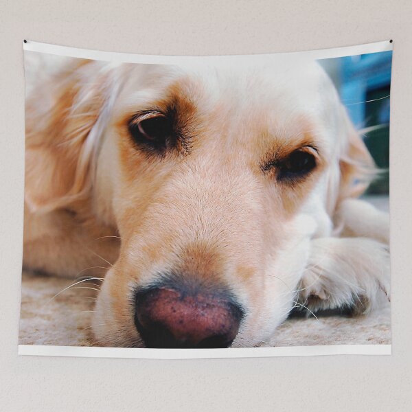 Item preview, Golden Retriever Dog Portrait designed and sold by AndyEvansPhotos.