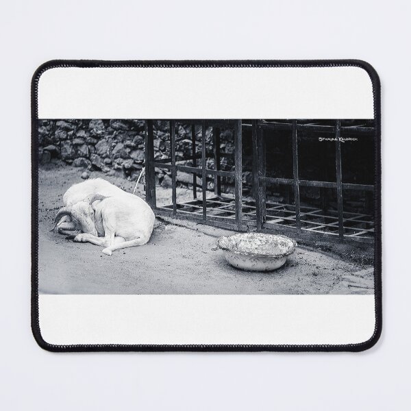 Item preview, The Starving Goat designed and sold by Stwayne.