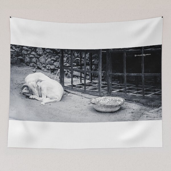 Item preview, The Starving Goat designed and sold by Stwayne.