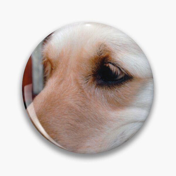 Item preview, Golden Retriever Dog Portrait designed and sold by AndyEvansPhotos.