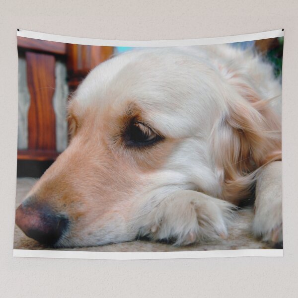 Item preview, Golden Retriever Dog Portrait designed and sold by AndyEvansPhotos.
