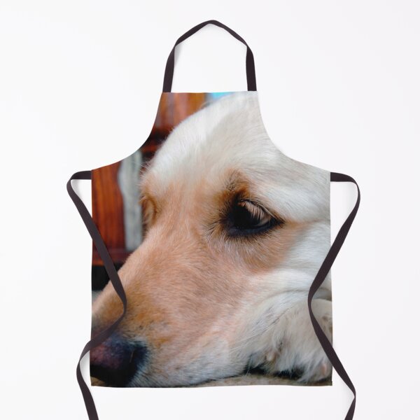 Item preview, Golden Retriever Dog Portrait designed and sold by AndyEvansPhotos.
