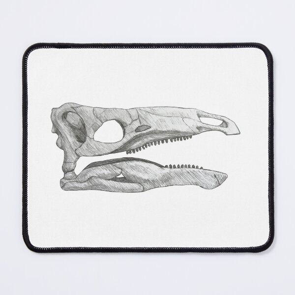 Item preview, miragaia longicollum skull designed and sold by DoodleSnake58.