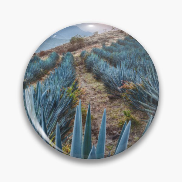 Item preview, Blue Agave Field At Golden Sunrise designed and sold by fact-stick.