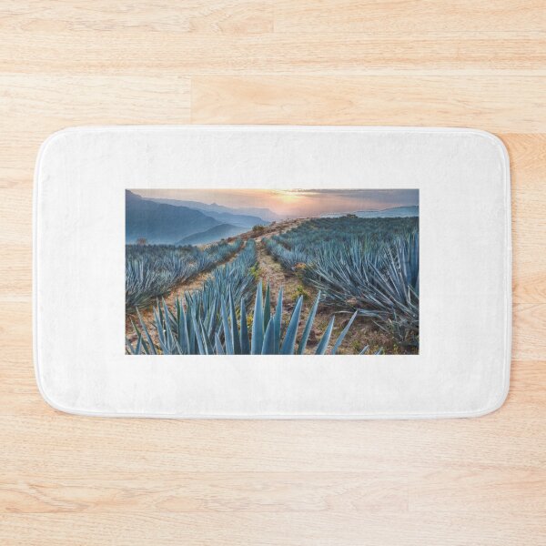 Item preview, Blue Agave Field At Golden Sunrise designed and sold by fact-stick.
