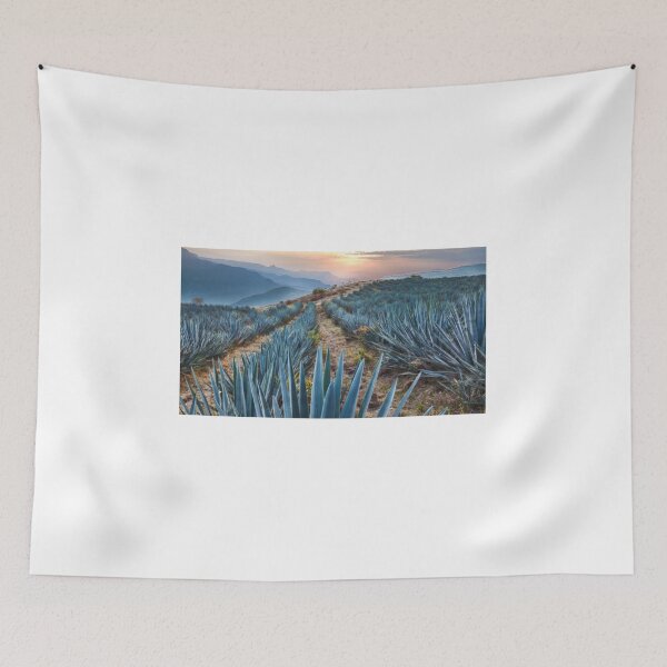 Item preview, Blue Agave Field At Golden Sunrise designed and sold by fact-stick.