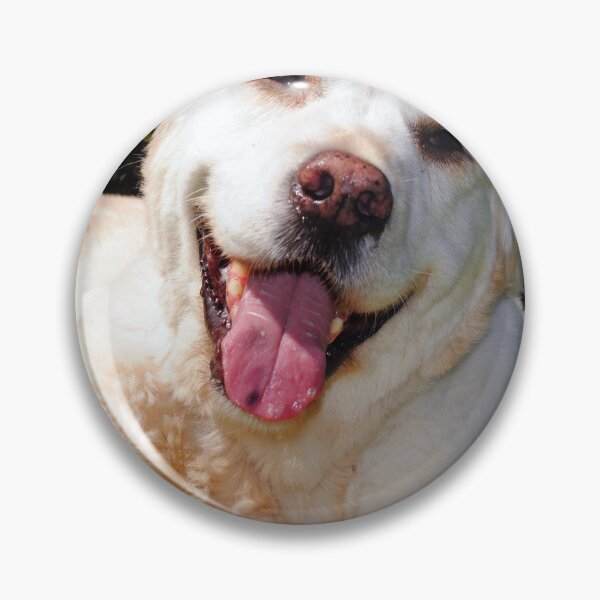 Item preview, Copy of Golden Retriever Dog Portrait designed and sold by AndyEvansPhotos.