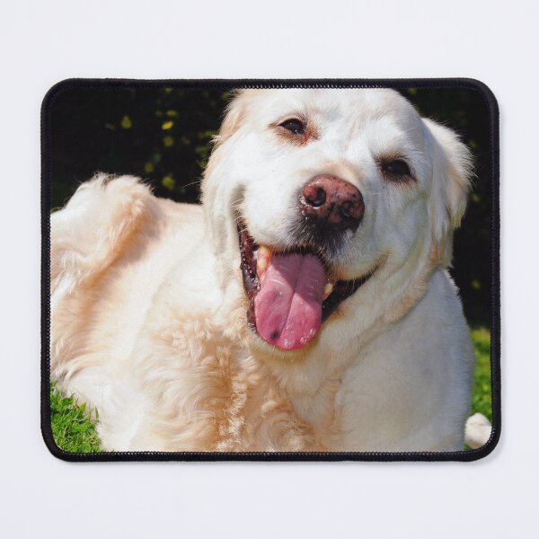 Item preview, Copy of Golden Retriever Dog Portrait designed and sold by AndyEvansPhotos.