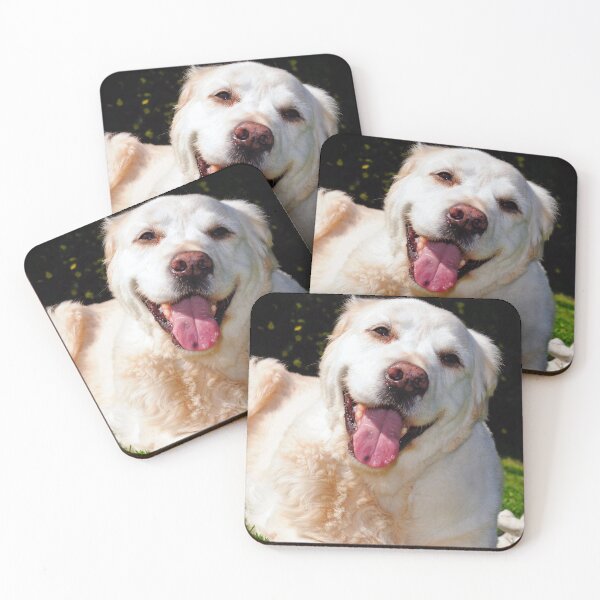 Item preview, Copy of Golden Retriever Dog Portrait designed and sold by AndyEvansPhotos.