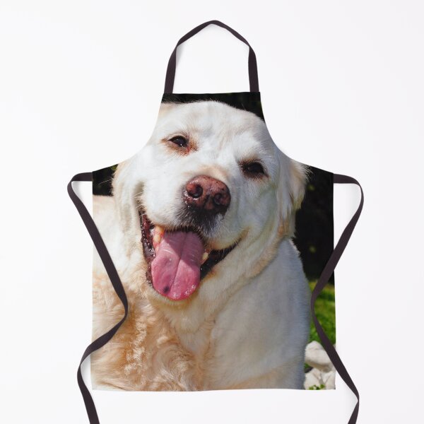 Item preview, Copy of Golden Retriever Dog Portrait designed and sold by AndyEvansPhotos.