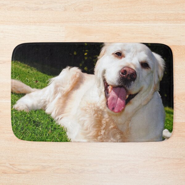 Item preview, Copy of Golden Retriever Dog Portrait designed and sold by AndyEvansPhotos.