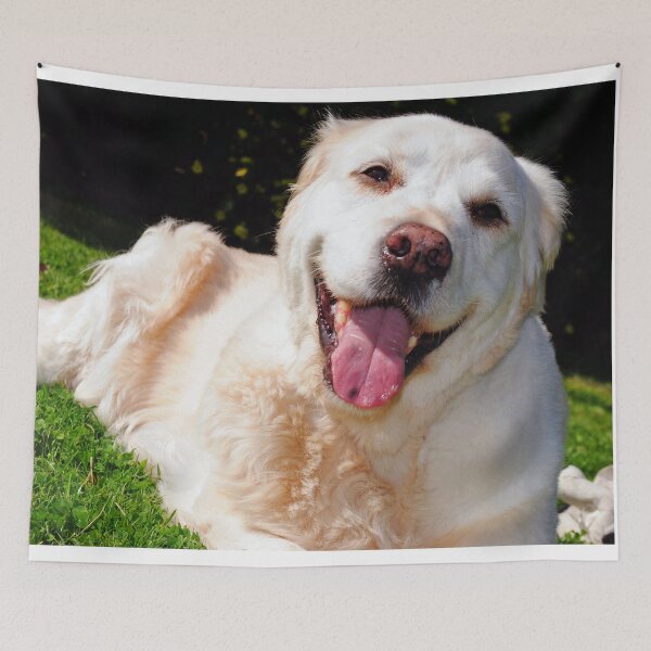Item preview, Copy of Golden Retriever Dog Portrait designed and sold by AndyEvansPhotos.