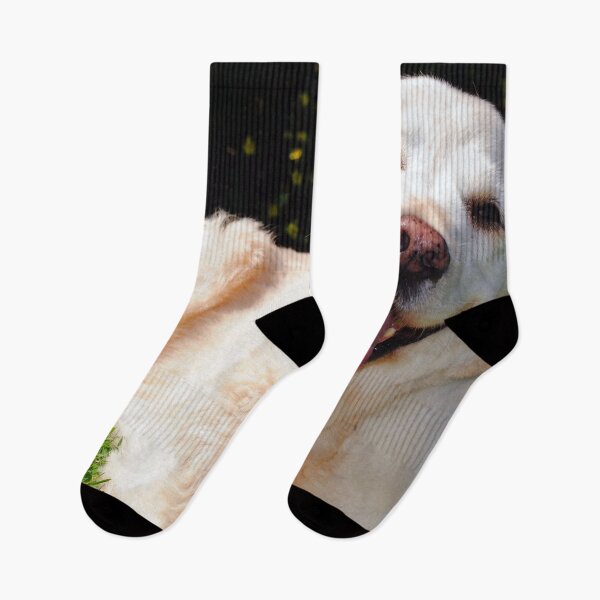 Item preview, Copy of Golden Retriever Dog Portrait designed and sold by AndyEvansPhotos.