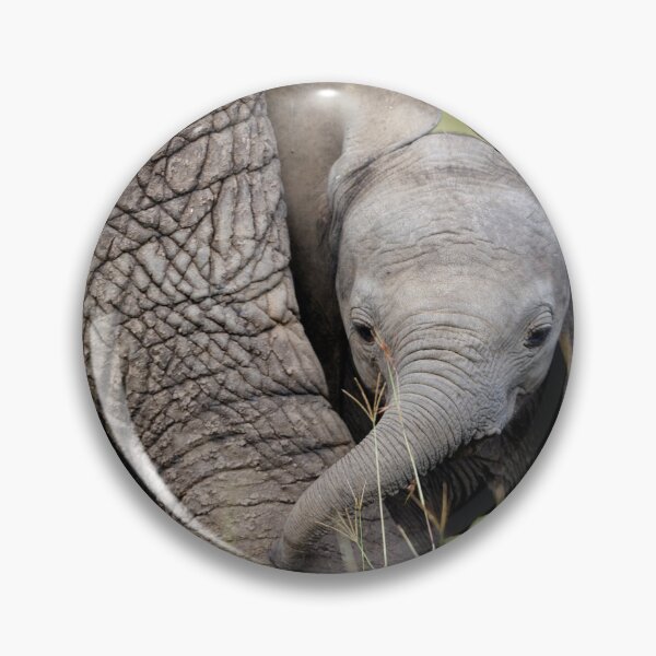 Item preview, Baby Elephant Sheltered By Mother Wildlife designed and sold by fact-stick.