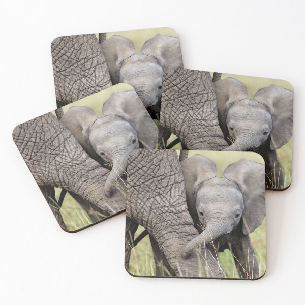 Item preview, Baby Elephant Sheltered By Mother Wildlife designed and sold by fact-stick.