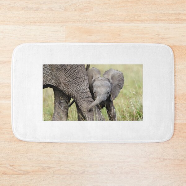 Item preview, Baby Elephant Sheltered By Mother Wildlife designed and sold by fact-stick.