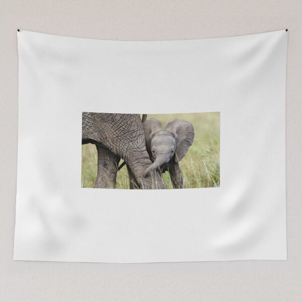 Item preview, Baby Elephant Sheltered By Mother Wildlife designed and sold by fact-stick.