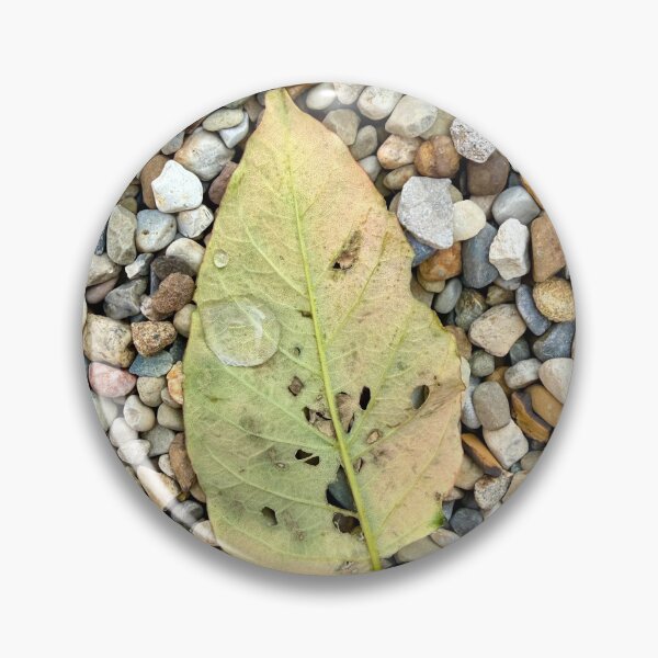 Item preview, Leaf photography after a storm designed and sold by akspellman.