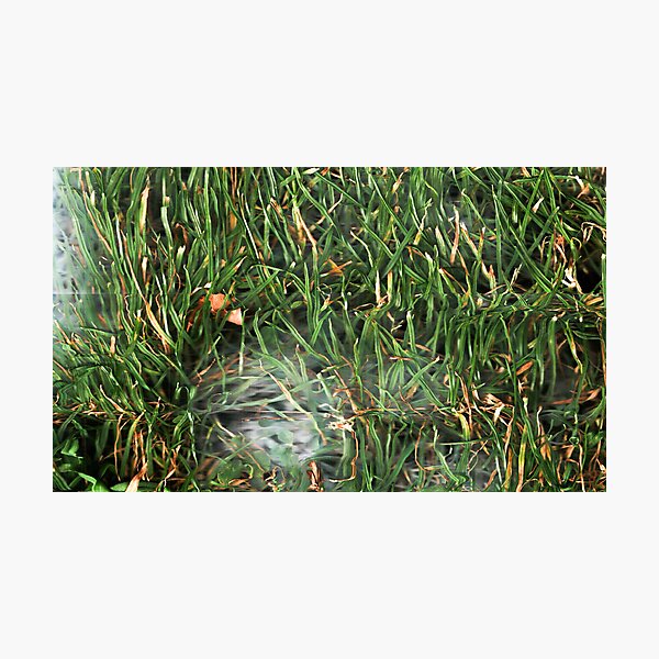 Item preview, Grass scan I, Malmö surface designed and sold by CitizenVega.