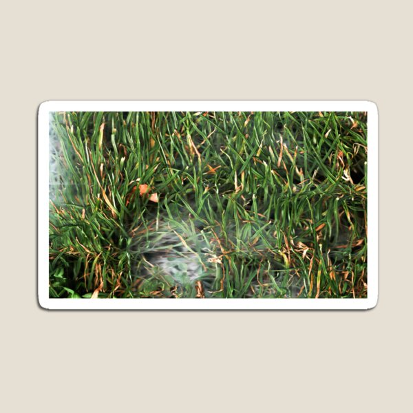 Item preview, Grass scan I, Malmö surface designed and sold by CitizenVega.