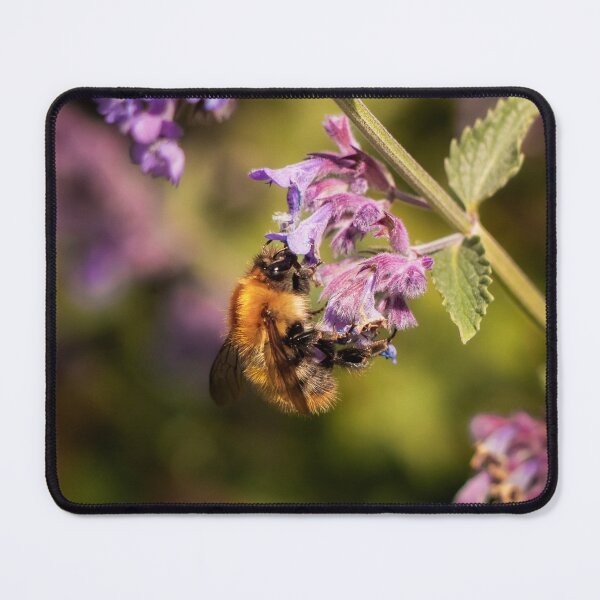 Item preview, A Bee At Work On A Lilac Flower designed and sold by EssieCreatives.