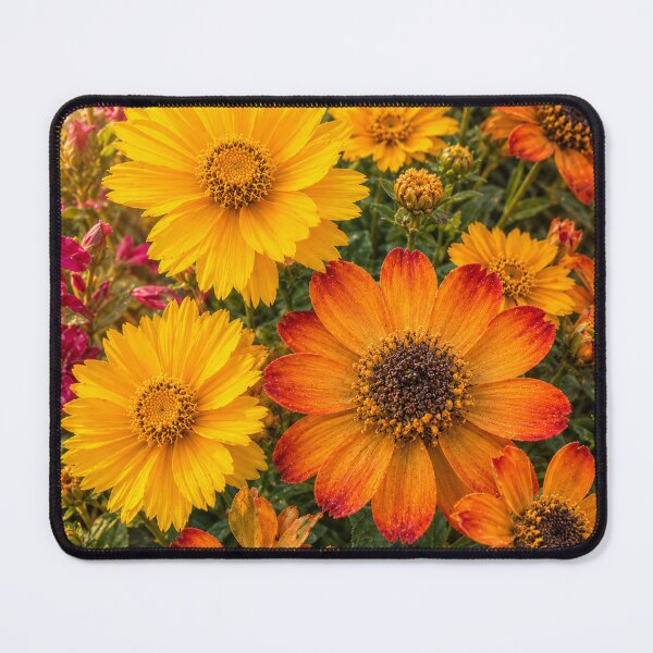 Item preview, Summer Garden Symphony designed and sold by Kimberly Palmer.