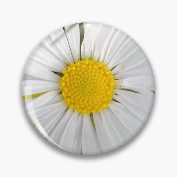 Item preview, Isolated Daisy Flower Head Close Up Top View on Transparent Background designed and sold by BalkanBloom.