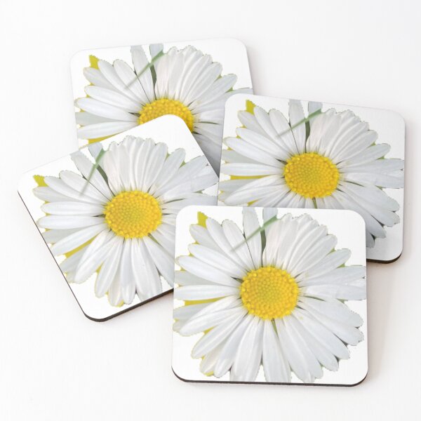 Item preview, Isolated Daisy Flower Head Close Up Top View on Transparent Background designed and sold by BalkanBloom.