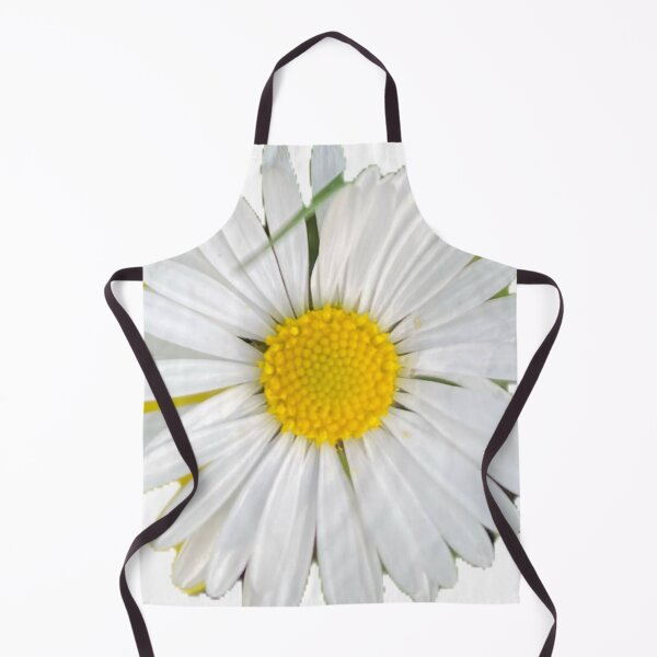 Item preview, Isolated Daisy Flower Head Close Up Top View on Transparent Background designed and sold by BalkanBloom.