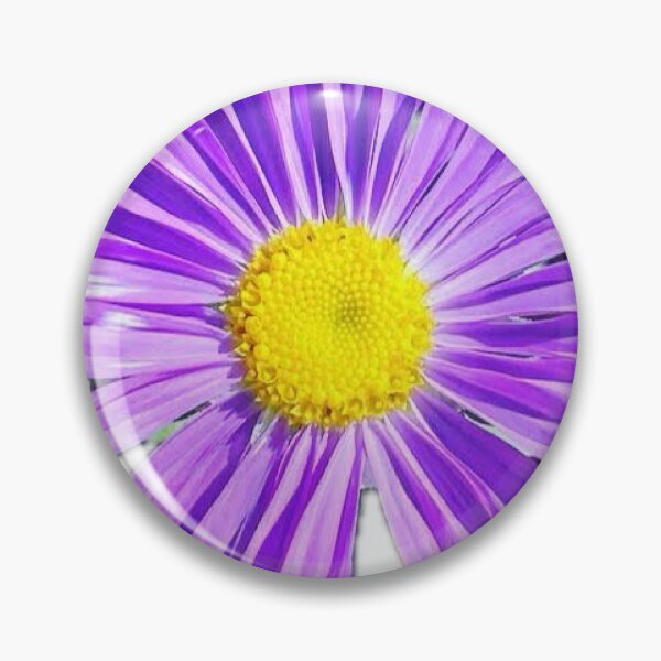 Item preview, Vibrant Purple Aster Flower Head Isolated on White designed and sold by BalkanBloom.