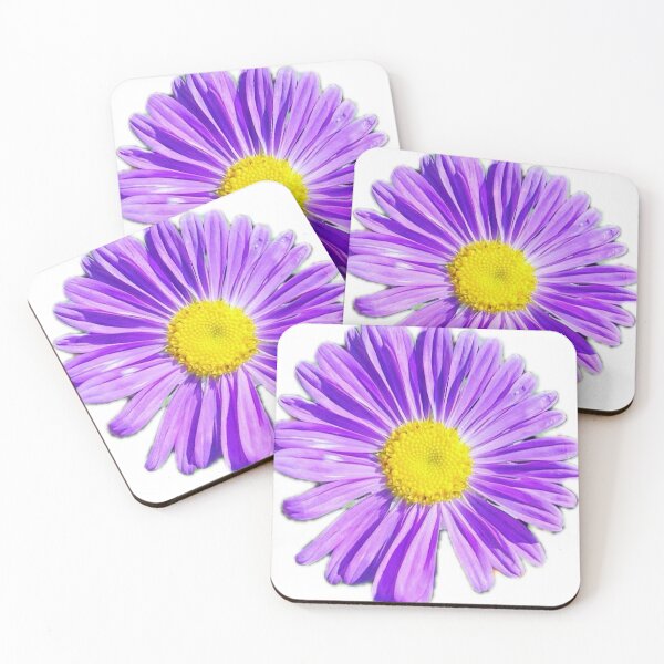 Item preview, Vibrant Purple Aster Flower Head Isolated on White designed and sold by BalkanBloom.