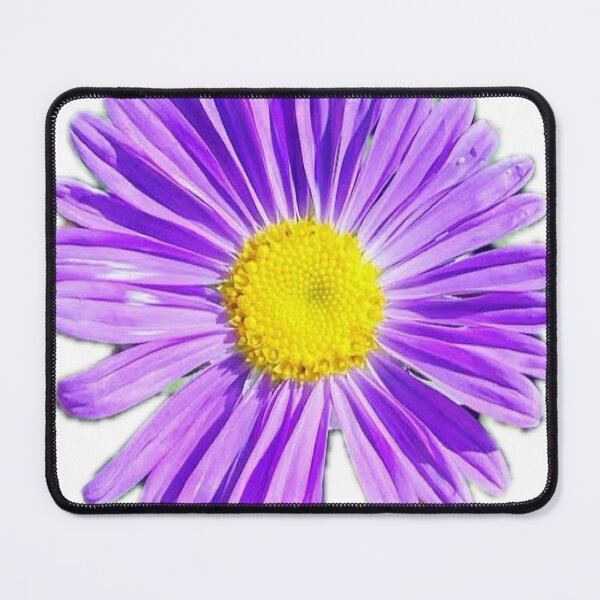 Item preview, Vibrant Purple Aster Flower Head Isolated on White designed and sold by BalkanBloom.