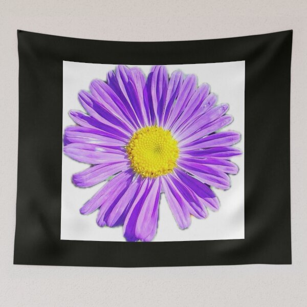 Item preview, Vibrant Purple Aster Flower Head Isolated on White designed and sold by BalkanBloom.