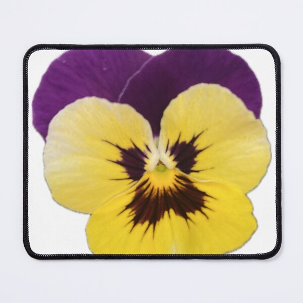 Item preview, Isolated Purple and Yellow Pansy Flower Graphic designed and sold by BalkanBloom.