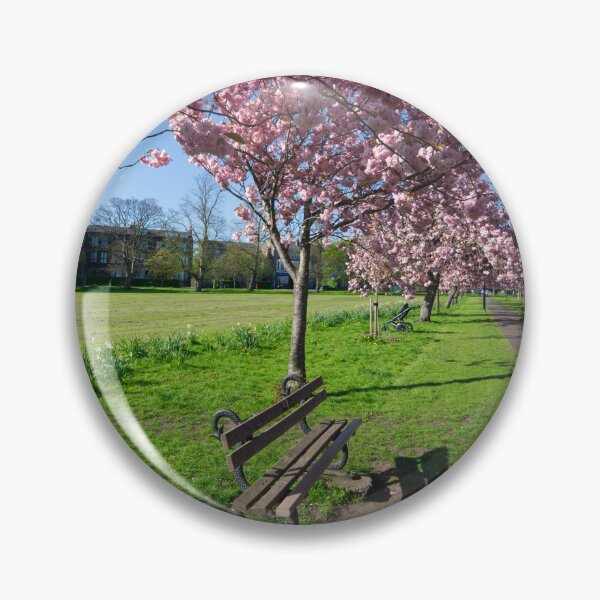Item preview, The Stray Cherry Blossom Harrogate designed and sold by Alisonchambers2.