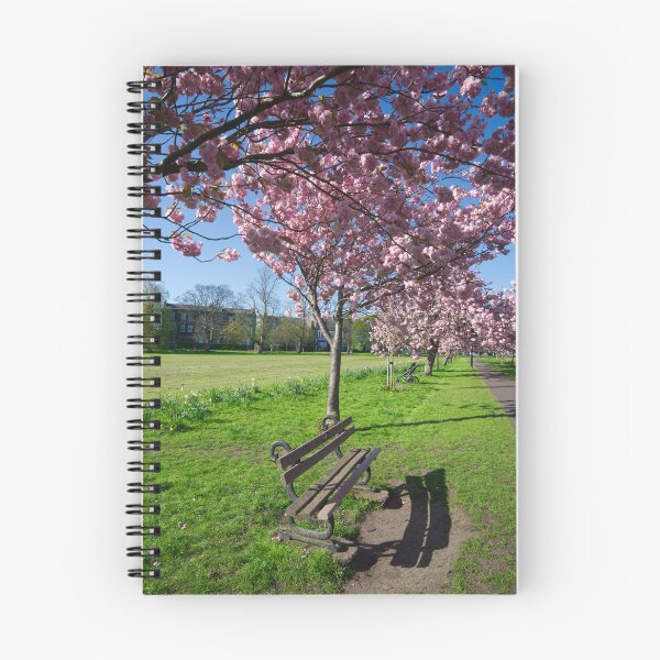 Item preview, The Stray Cherry Blossom Harrogate designed and sold by Alisonchambers2.
