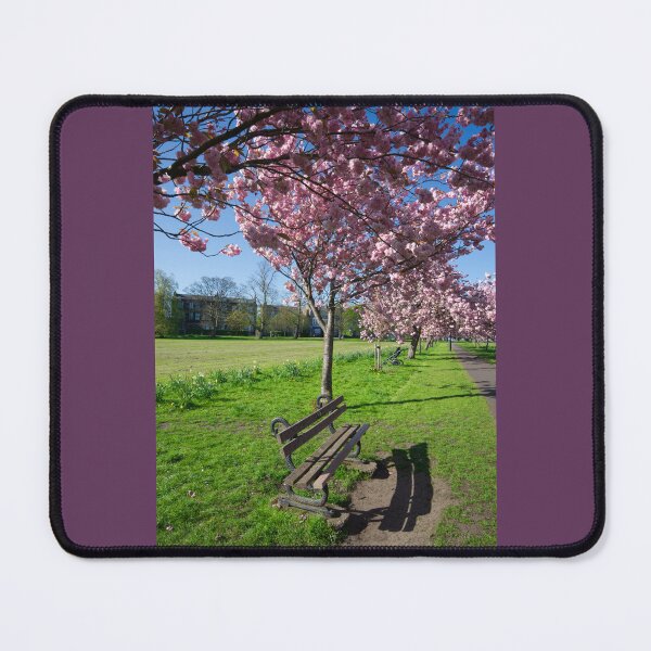 Item preview, The Stray Cherry Blossom Harrogate designed and sold by Alisonchambers2.