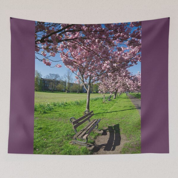 Item preview, The Stray Cherry Blossom Harrogate designed and sold by Alisonchambers2.