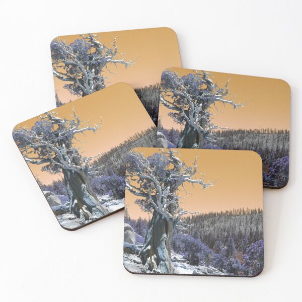 Item preview, Twisted Cedar Landscape designed and sold by Robert Ball.