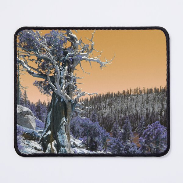 Item preview, Twisted Cedar Landscape designed and sold by Robert Ball.