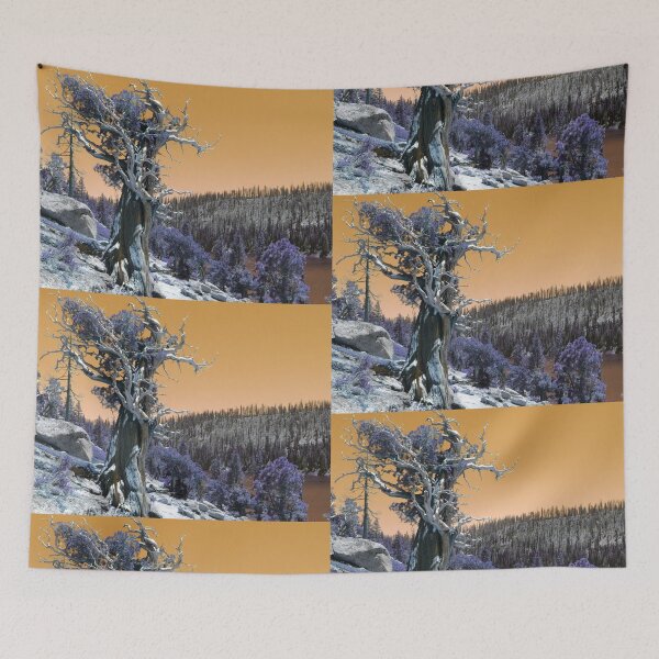 Item preview, Twisted Cedar Landscape designed and sold by Robert Ball.