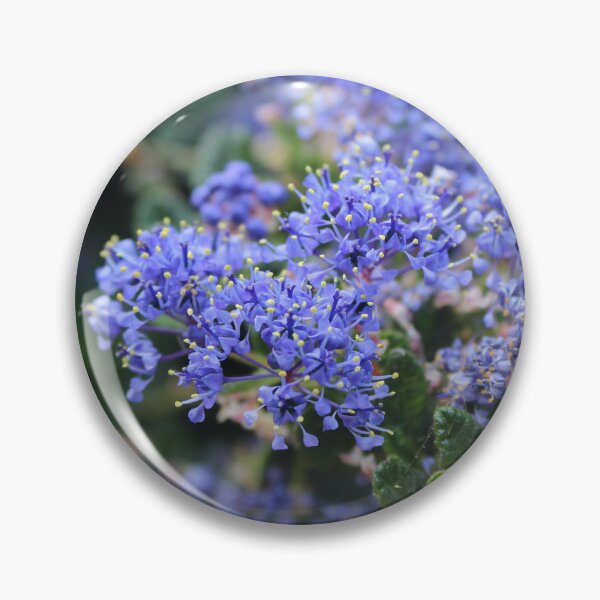 Item preview, Dreamy Blue Wildflowers | Botanical Nature Photography designed and sold by Cha-s-lens.