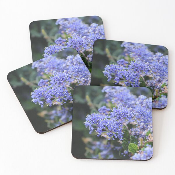 Item preview, Dreamy Blue Wildflowers | Botanical Nature Photography designed and sold by Cha-s-lens.