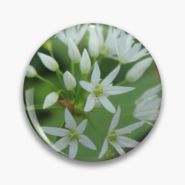 Item preview, Wild Garlic Flower | Minimalist Botanical Photography designed and sold by Cha-s-lens.