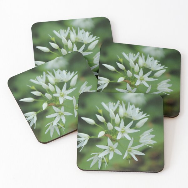 Item preview, Wild Garlic Flower | Minimalist Botanical Photography designed and sold by Cha-s-lens.
